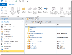 8 no access in SP designer